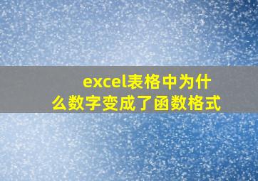 excel表格中为什么数字变成了函数格式