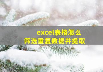 excel表格怎么筛选重复数据并提取