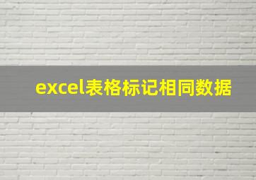 excel表格标记相同数据