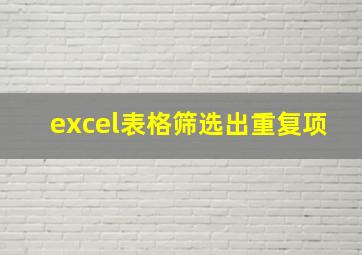 excel表格筛选出重复项