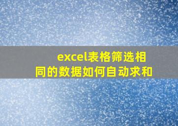 excel表格筛选相同的数据如何自动求和