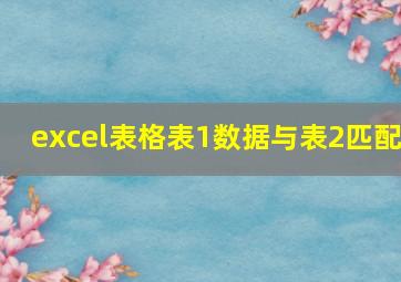 excel表格表1数据与表2匹配