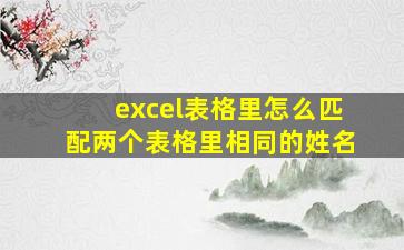 excel表格里怎么匹配两个表格里相同的姓名