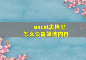 excel表格里怎么设置筛选内容