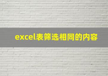 excel表筛选相同的内容