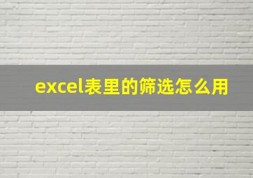 excel表里的筛选怎么用