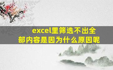 excel里筛选不出全部内容是因为什么原因呢