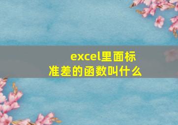 excel里面标准差的函数叫什么