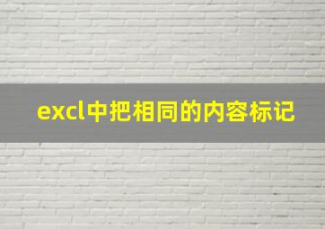 excl中把相同的内容标记