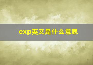 exp英文是什么意思