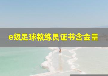 e级足球教练员证书含金量