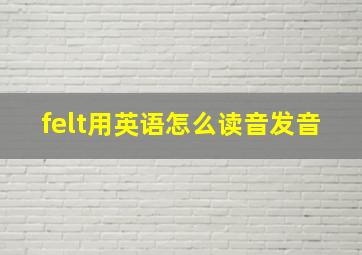 felt用英语怎么读音发音