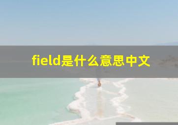 field是什么意思中文