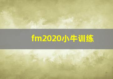 fm2020小牛训练