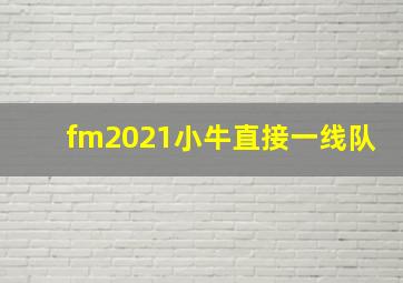 fm2021小牛直接一线队