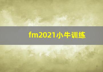 fm2021小牛训练