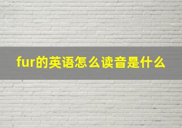 fur的英语怎么读音是什么