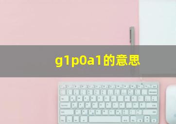 g1p0a1的意思