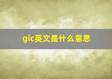 gic英文是什么意思