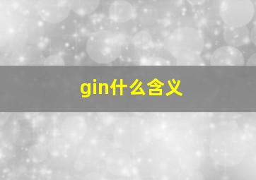 gin什么含义