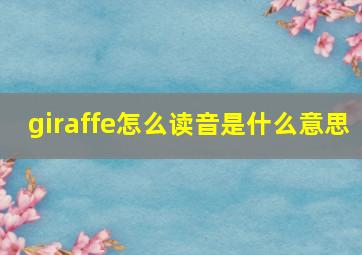 giraffe怎么读音是什么意思