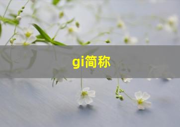 gi简称