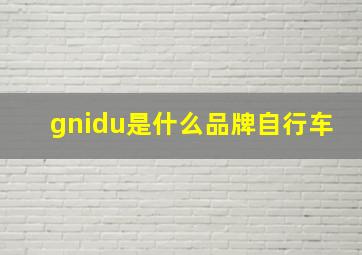 gnidu是什么品牌自行车