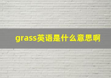 grass英语是什么意思啊