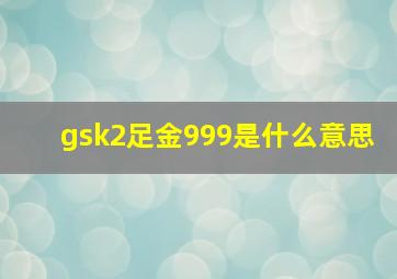 gsk2足金999是什么意思