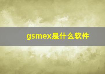 gsmex是什么软件