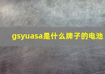 gsyuasa是什么牌子的电池