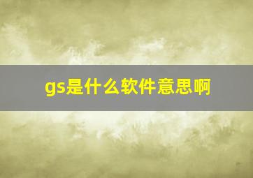 gs是什么软件意思啊