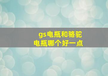 gs电瓶和骆驼电瓶哪个好一点