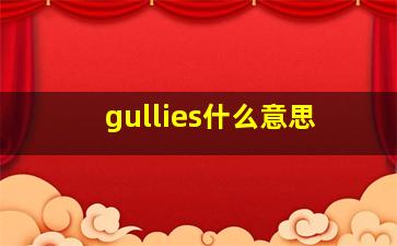 gullies什么意思