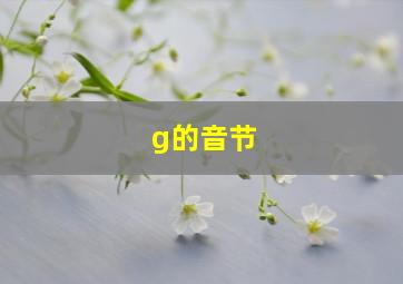 g的音节