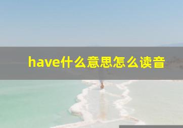 have什么意思怎么读音