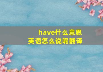 have什么意思英语怎么说呢翻译