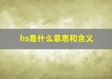 hs是什么意思和含义