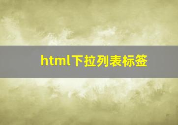 html下拉列表标签