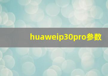 huaweip30pro参数