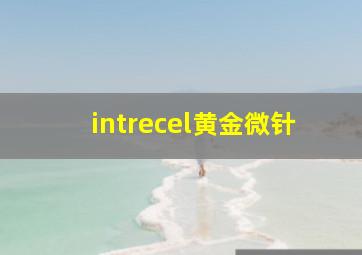 intrecel黄金微针