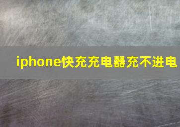 iphone快充充电器充不进电