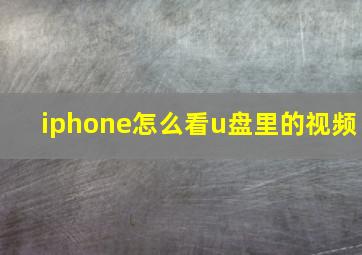 iphone怎么看u盘里的视频