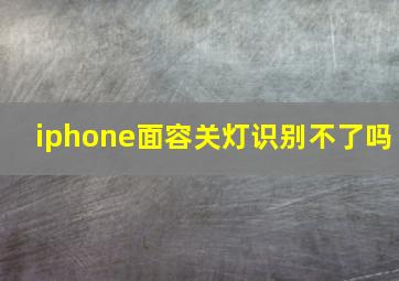 iphone面容关灯识别不了吗