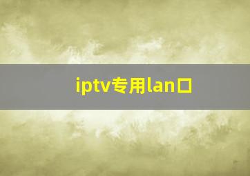 iptv专用lan口