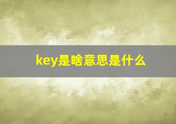 key是啥意思是什么