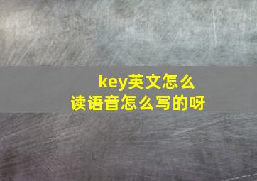 key英文怎么读语音怎么写的呀