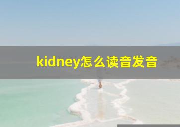 kidney怎么读音发音