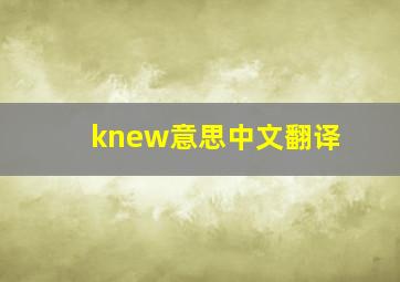 knew意思中文翻译