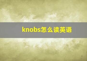 knobs怎么读英语